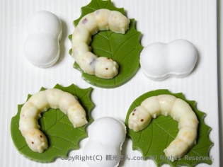 富岡名物「まゆこもり」と一緒に撮影してみた