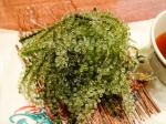 海ぶどう