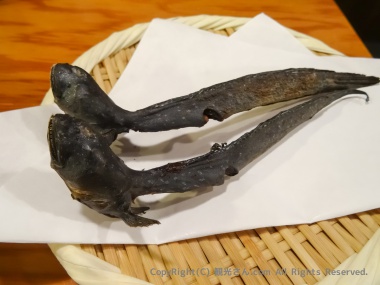 ムツゴロウ