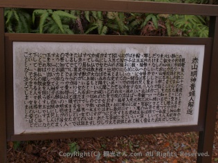 解説ボード