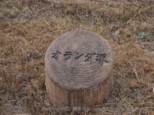 正解は