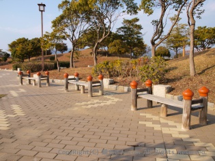 高知県の…？？