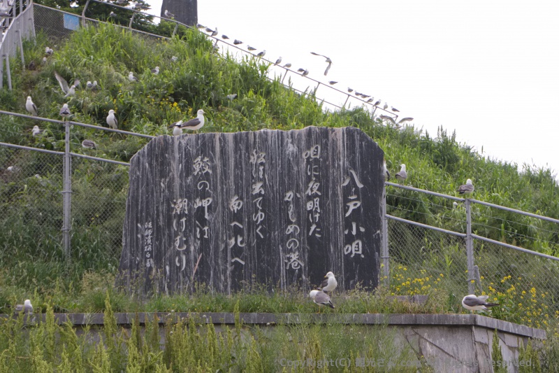 八戸小唄