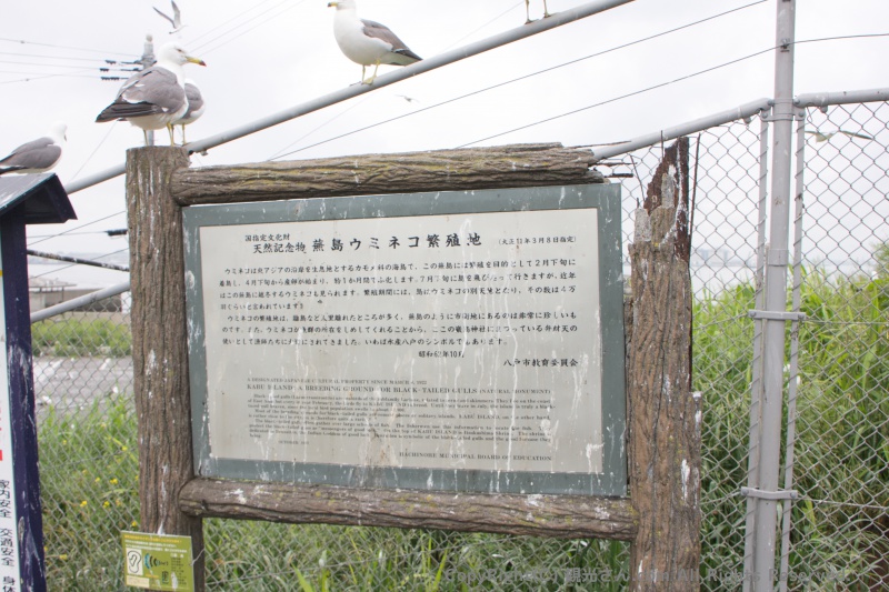 看板