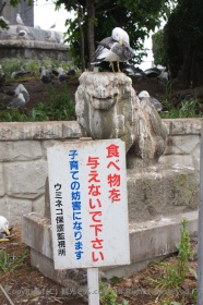 食べ物を与えない！