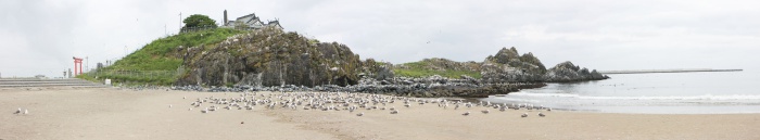 蕪島海浜公園