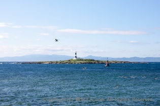 弁天島（べんてんじま）