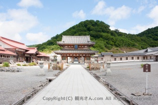 四十八燈