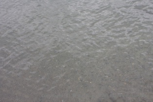 十和田湖の水