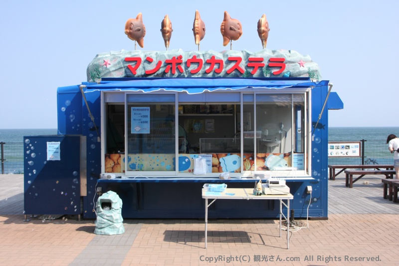 マンボウカステラ