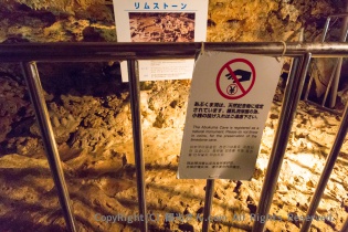 お賽銭？