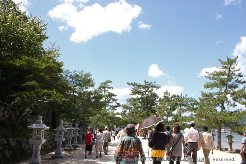 神社へ続く砂利道