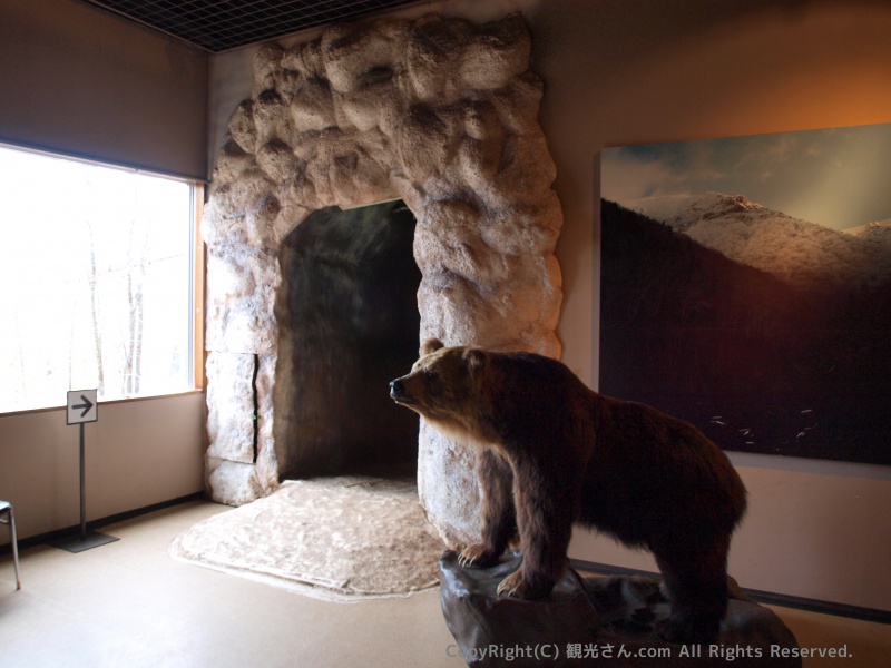 ヒグマ博物館２