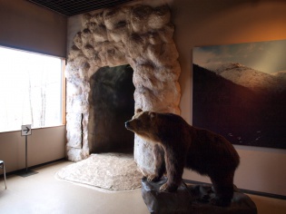 ヒグマ博物館２