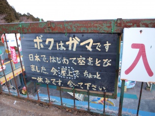 ガマからのメッセージ