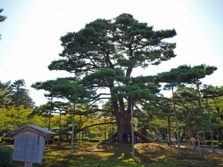 園内4