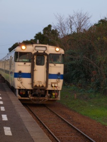 たまたま遭遇