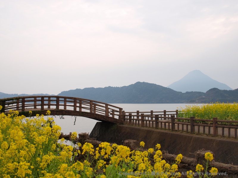 池田湖パラダイスから