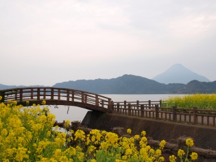 池田湖パラダイスから