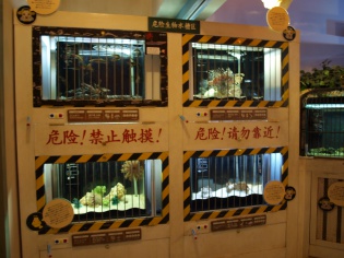 危険生物水槽区