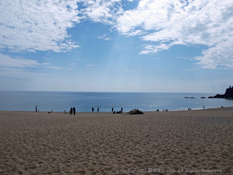 桂浜から見た海