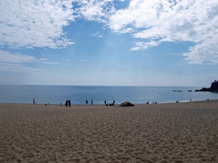 桂浜から見た海
