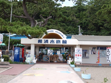 桂浜水族館