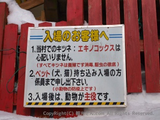 エキノコックスの心配はない！
