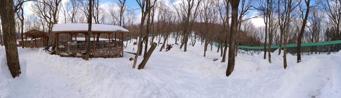 宮城蔵王キツネ村