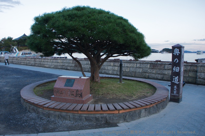 奥の細道とかかれた看板と木