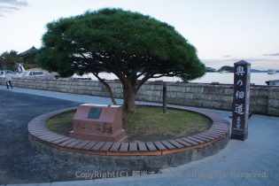 奥の細道とかかれた看板と木