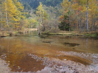 田代池