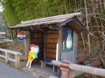 トトロの森