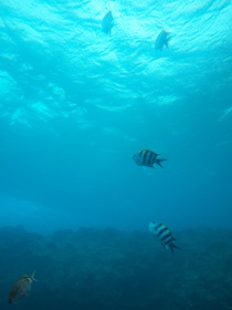 海も綺麗