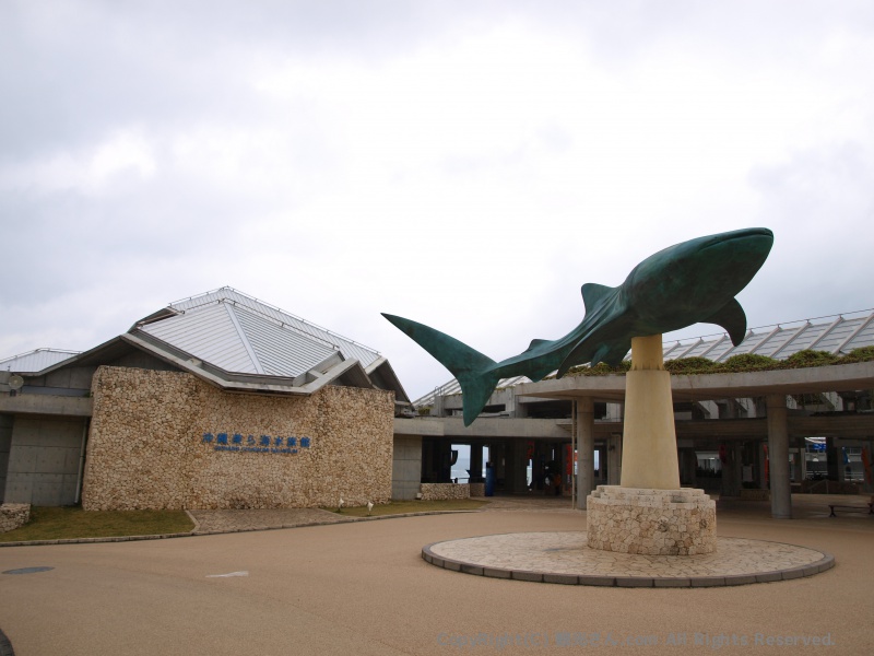 美ら海水族館
