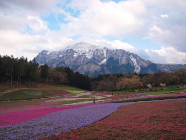 羊山公園
