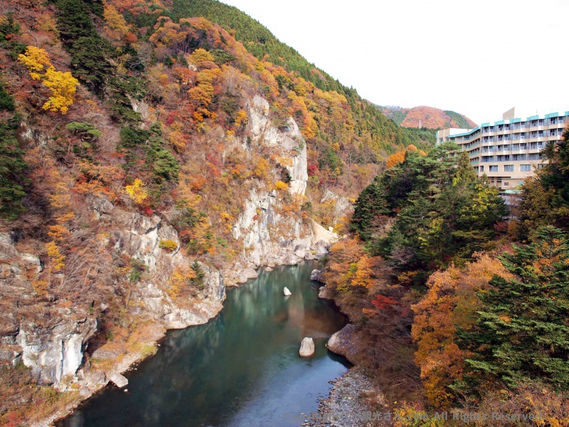吊り橋からの風景
