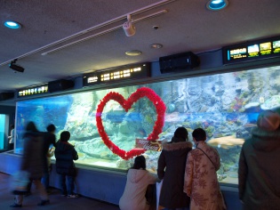 イベント