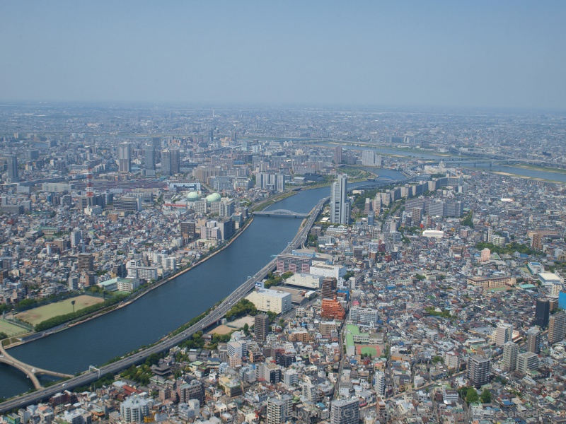 展望台からの景色