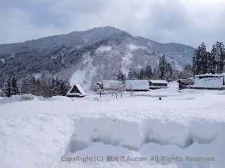 雪！雪！雪！