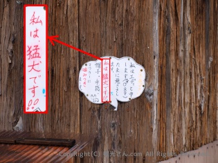 猛犬！
