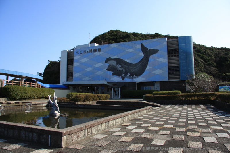太地町立くじらの博物館
