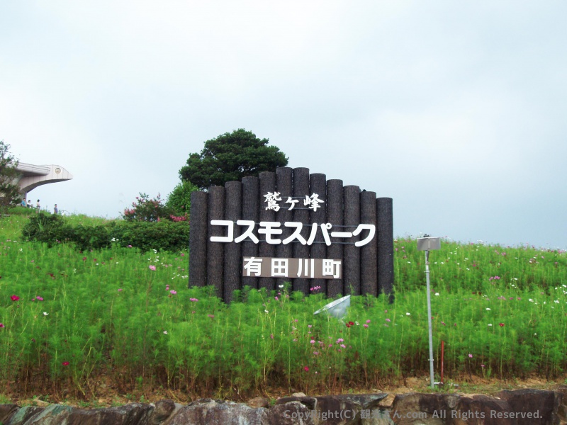 鷲ヶ峰コスモスパーク