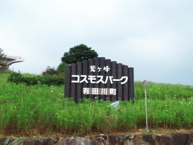 鷲ヶ峰コスモスパーク