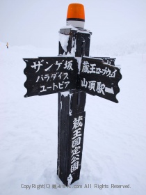 左が気になる