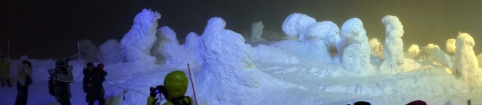 山形蔵王スキー場の樹氷（夜）