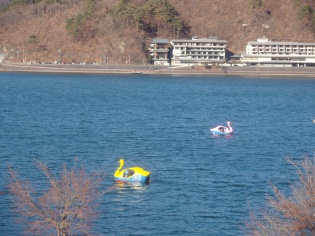 河口湖遊び